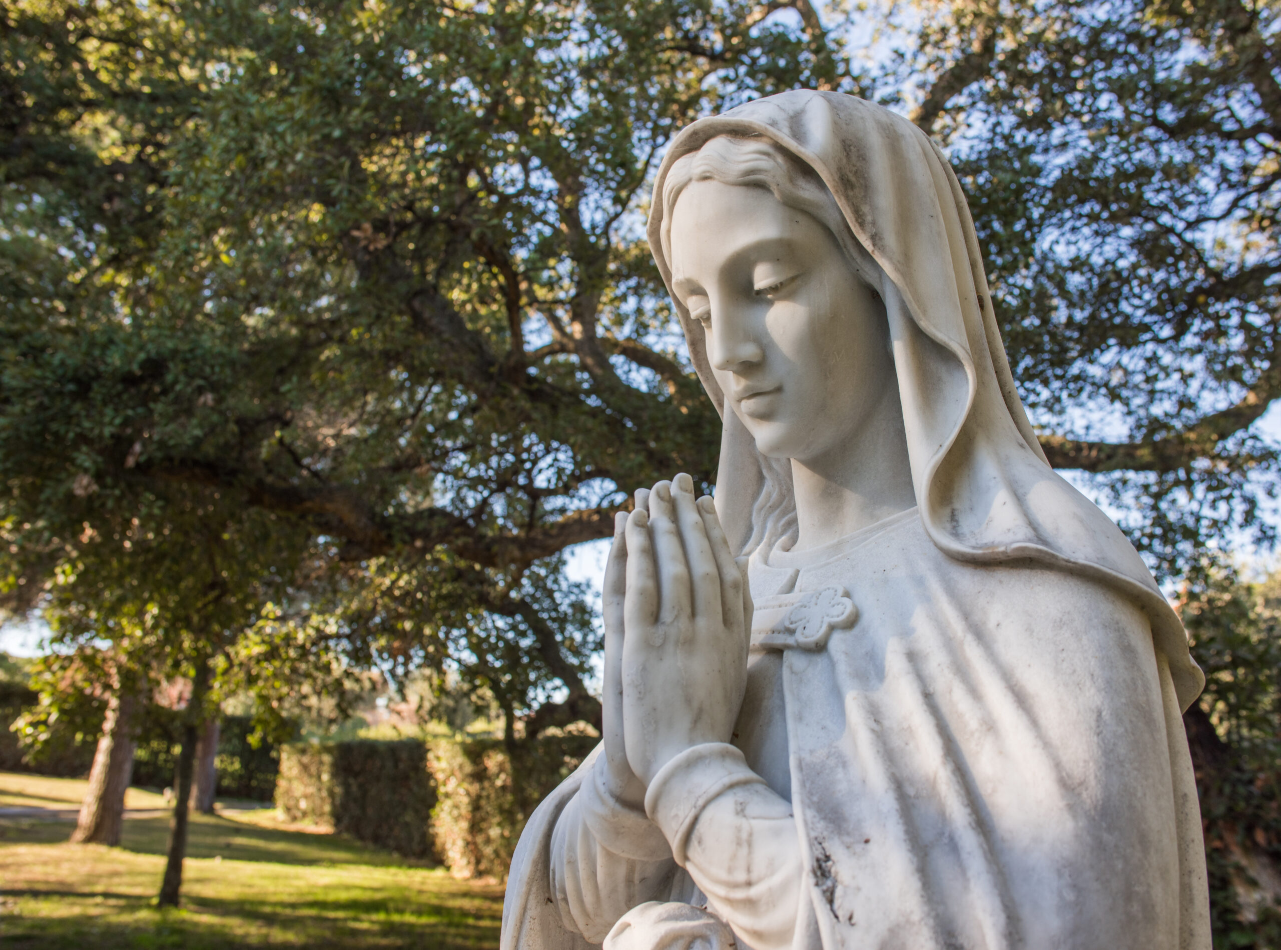 virgen maria