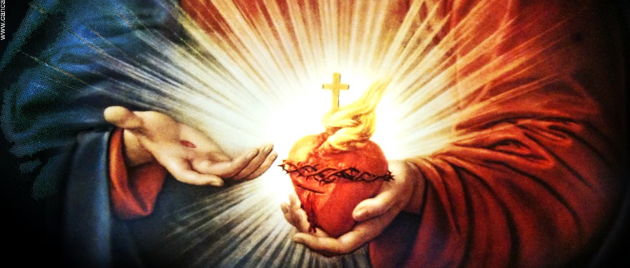 ¿De dónde procede la devoción al Sagrado Corazón de Jesús?