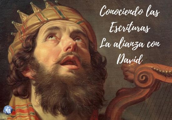 alianza_condavid