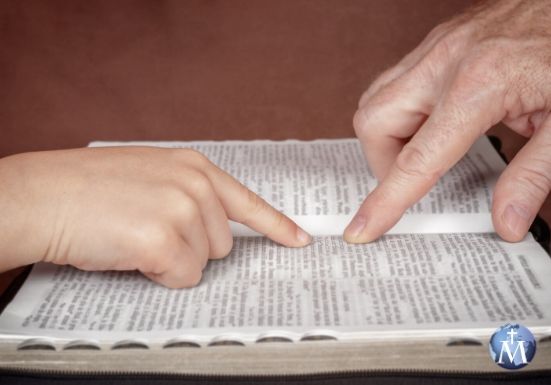 Papa Francisco invita a poner en práctica la Palabra de Dios cada día