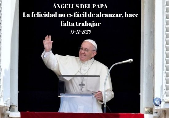 angelus-papa