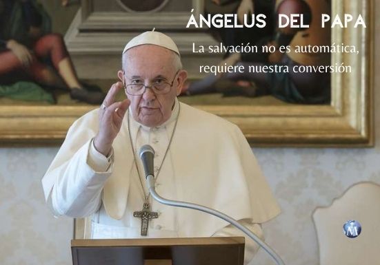 angelus-papa