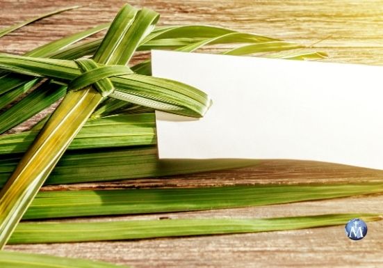Domingo de Ramos: ¡Hosanna al Hijo de David!