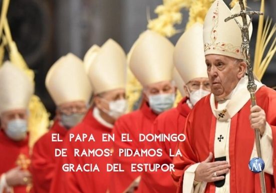 El Papa en el Domingo de Ramos: pidamos la gracia del estupor