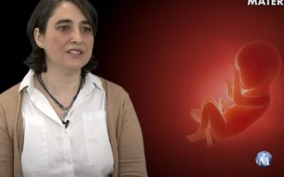 ¿Qué es la Naprotecnología? Diferencias con la fecundación in vitro