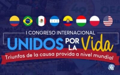El Congreso virtual provida que abordará las políticas exitosas de defensa de la vida