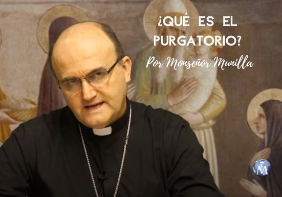 munilla6
