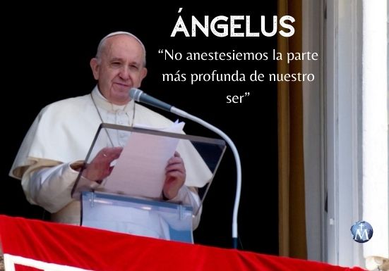 papa-angelus