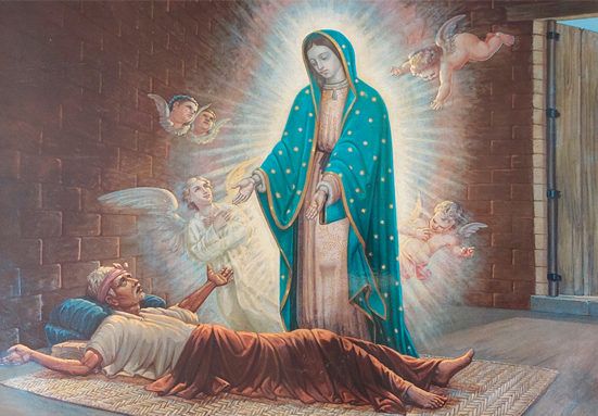 «La Virgen de Guadalupe guió mi vocación» – P. Francisco Coronado