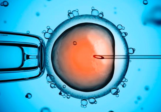 ¿Por qué son inmorales la inseminación y la fecundación artificial? – Mons. Munilla responde