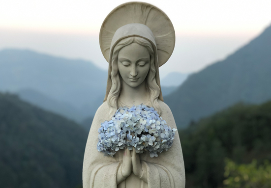 virgenmaria_web