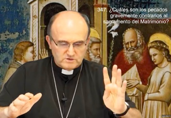¿Cuáles son los pecados más graves contra el sacramento del Matrimonio? | Mons. Munilla responde