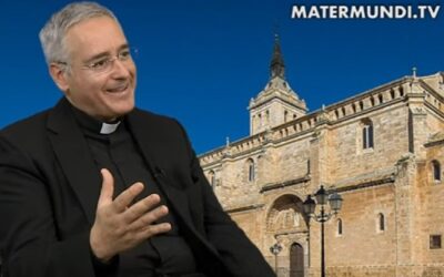 Como a San Francisco de Asís, Dios nos urge a reparar Su Iglesia | P. Emilio Palomo