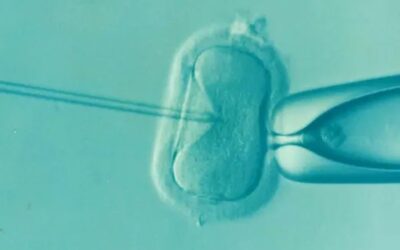La maternidad subrogada instrumentaliza a la mujer, vulnera su dignidad y convierte al niño en una mercancía