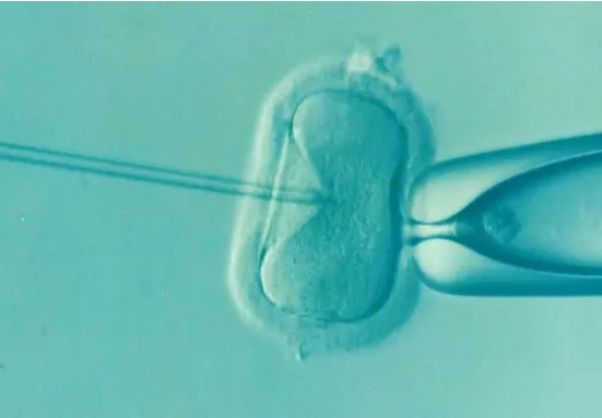 La maternidad subrogada instrumentaliza a la mujer, vulnera su dignidad y convierte al niño en una mercancía