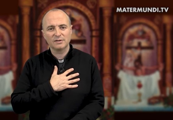 ¿Cómo me amarás si no me amas en tus hermanos sacerdotes?  | Día 38