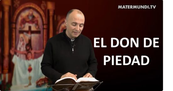 «Dios no impone, no fuerza, no violenta. Es brisa que envuelve a quien se deja envolver y hace en quien se deja hacer» | Día 44