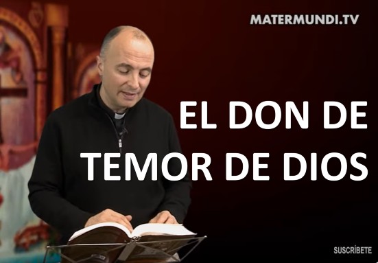 «Por los dones nos movemos a impulsos del Espíritu Santo y no del espíritu mundano o diabólico» | Día 42