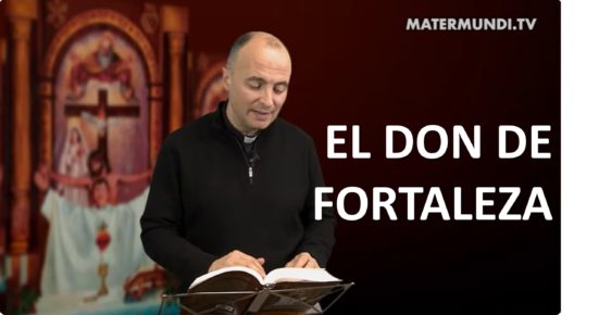 El Don de Fortaleza es para todos y necesario para el combate contra el demonio y la propia debilidad | Día 43