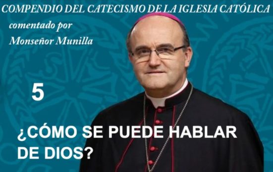 mons munilla catecismo 5 matermundi