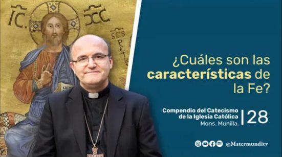 ¿Cuáles son las características de la Fe?