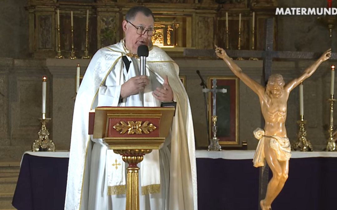 «Sus heridas nos han salvado»: Pasión y Muerte de Jesús en la Cruz | P. Álvaro Cárdenas