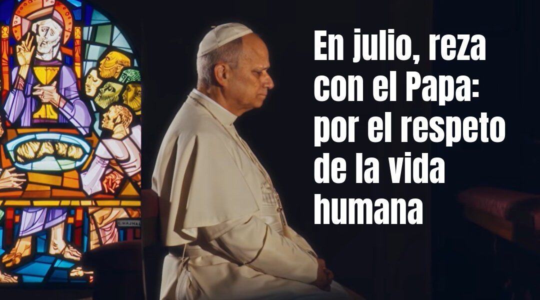 En julio, reza con el Papa León XIV por el respeto de la vida humana